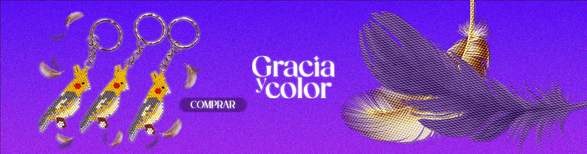 Banner 1 de Gracia y Color
