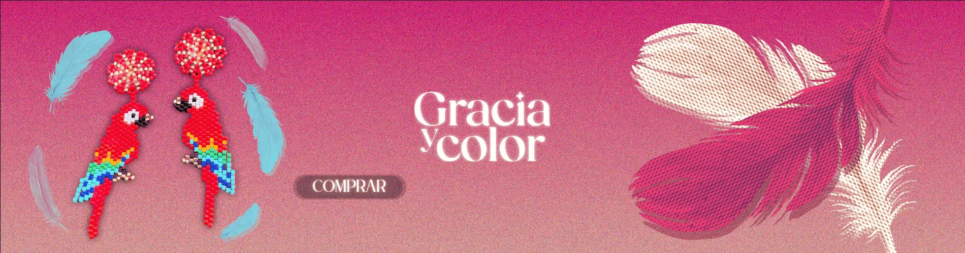 Banner 2 de Gracia y Color