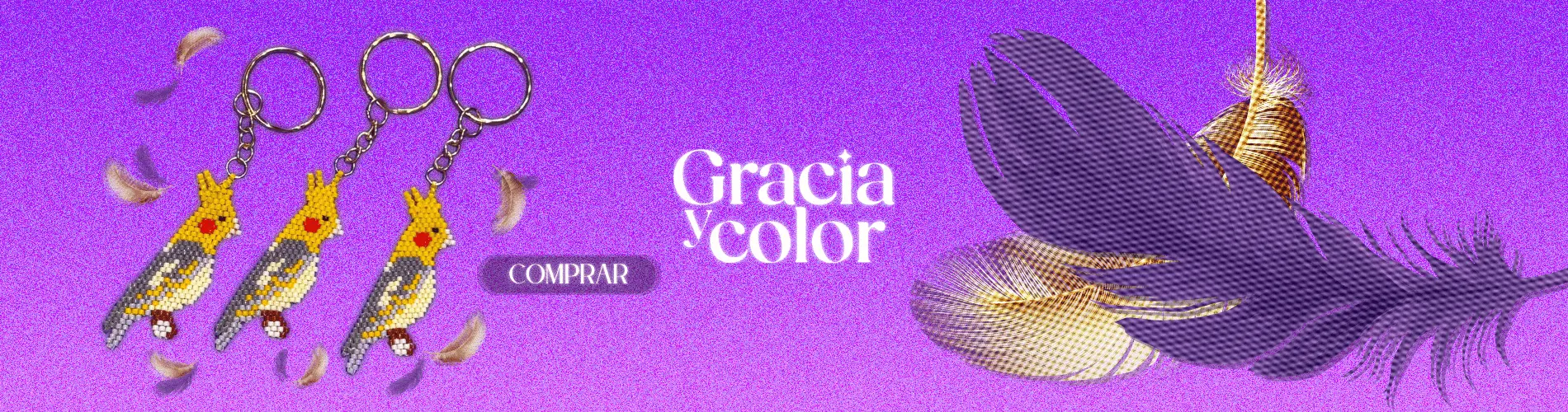 Banner Desktop 1 de Gracia y Color